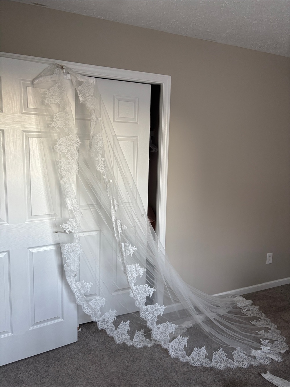 Watters White Lace Cathedral Veil